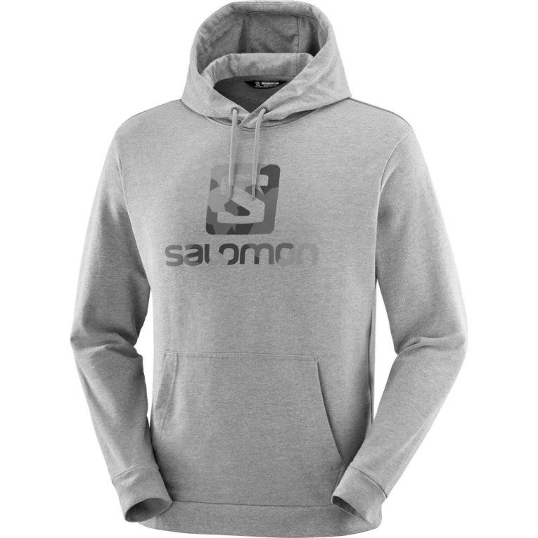 Grey Salomon Outlife Logo Summer Heather Men's Hoodie | PH 27586W